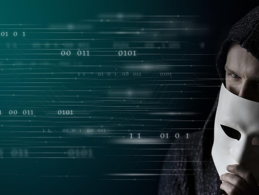 Wizerunek kontra rzeczywistość – trudna prawda o mentorach